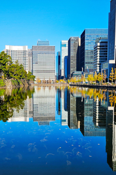 Downtown Tokyo in Autumn