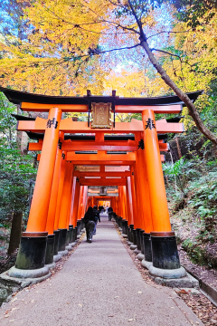 Fushimi Inari Shrine Kyoto