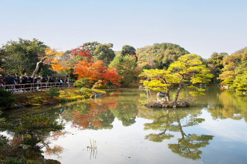 Kinkakuji Temple Gardens - Kyoto