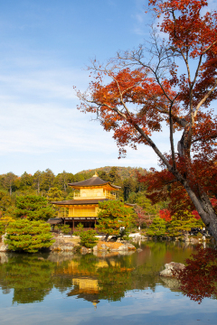 Kinkakuji Temple (Golden Pavilion) - Kyoto