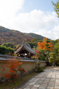 Tenryu-ji Buddhist Temple - Kyoto