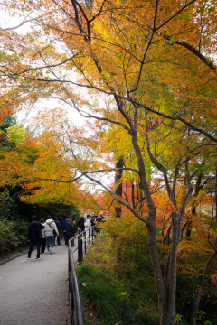 Kiyomizu-dera Temple Gardens - Kyoto