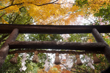 Shrine at Arashiyama Bamboo Grove - Kyoto