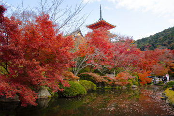 Pagoda at Kiyomizu-dera Temple - Kyoto