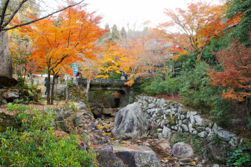 Itsukushima Shrine - Miyajima