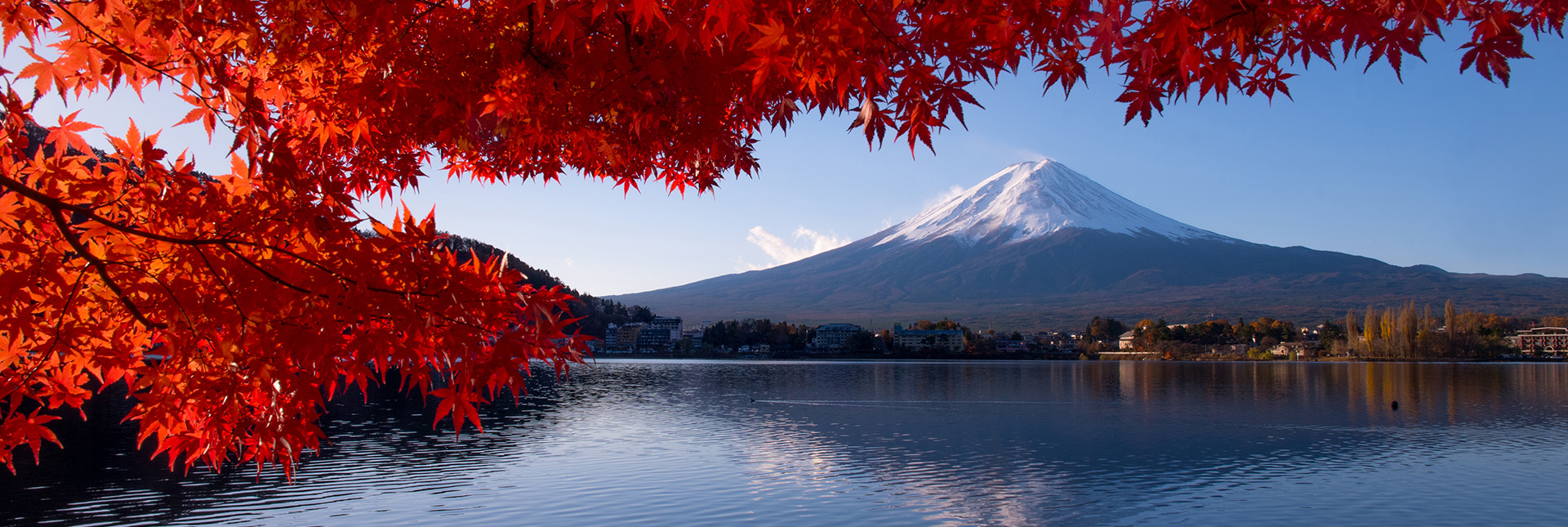 Colorful Autumn Season and Mountain Fuji Japan with morning fog and red leaves